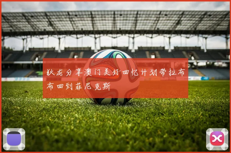 狄龙分享澳门美好回忆计划带拉布布回到菲尼克斯