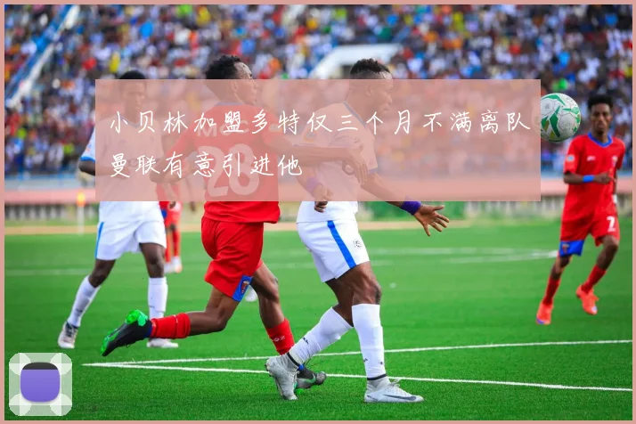 小贝林加盟多特仅三个月不满离队曼联有意引进他